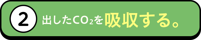 ②出したCO2を吸収する。