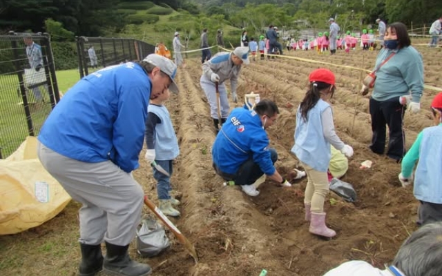 地元の園児の皆さんと「さつまいも掘り体験」を実施しました