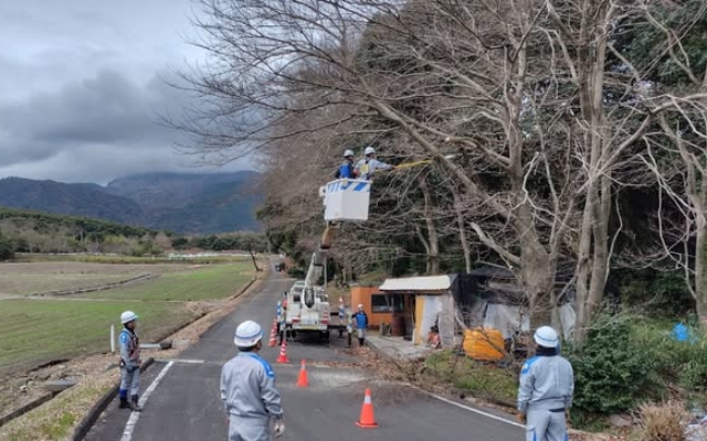 「しまばら火張山花公園」の除草、伐採活動をおこないました