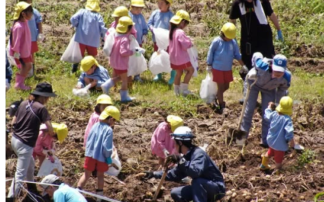 発電所構内で園児の皆さんと「じゃがいも掘り体験」を実施しました