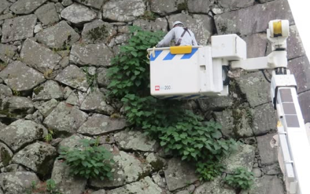 国の重要文化財「佐賀城鯱の門」周辺の清掃活動を実施しました