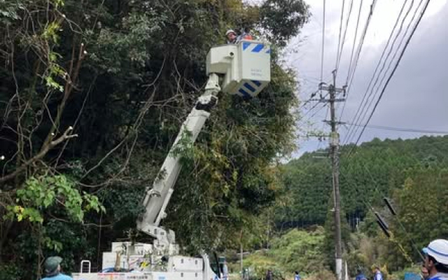 八女郡広川町で樹木の伐採と清掃活動を行いました