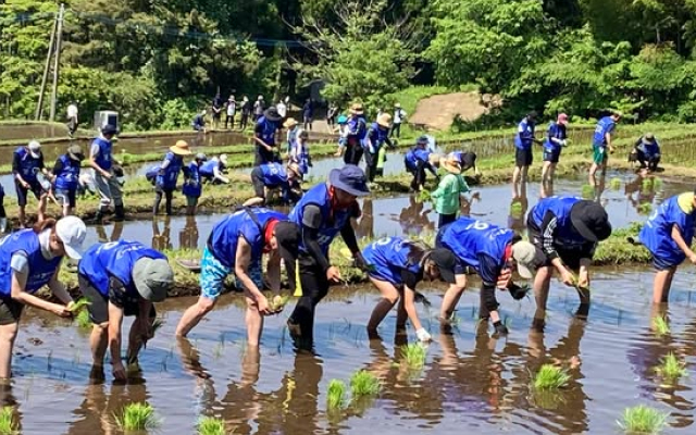 「阿蘇水掛の棚田」で田植えボランティアを行いました！