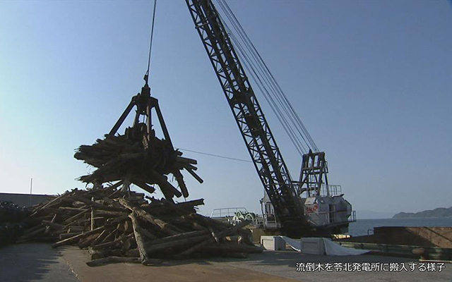 九州北部豪雨で発生した流木を発電用燃料に！のイメージ