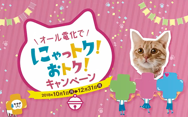 オール電化で にゃっトク！おトク！キャンペーン実施中！のイメージ