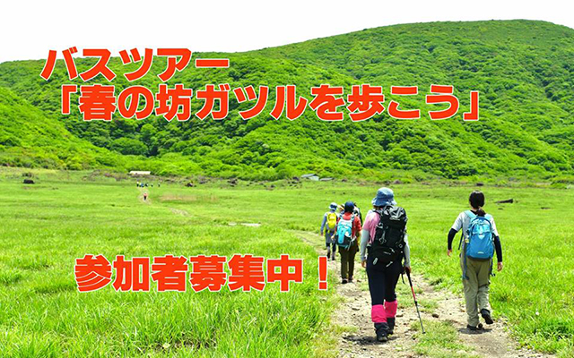 参加者募集！「バスツアー『春の坊ガツルを歩こう』」のイメージ