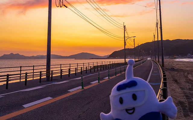 11月11日は…？のイメージ
