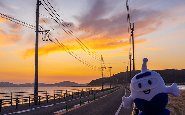 11月11日は…？のイメージ