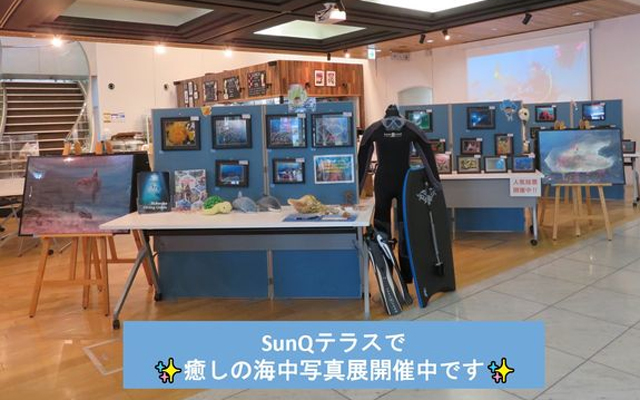宮崎の美しい海を再発見！「癒しの海中写真展」開催中のイメージ