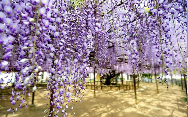 2025年 今年もありがとうございました 