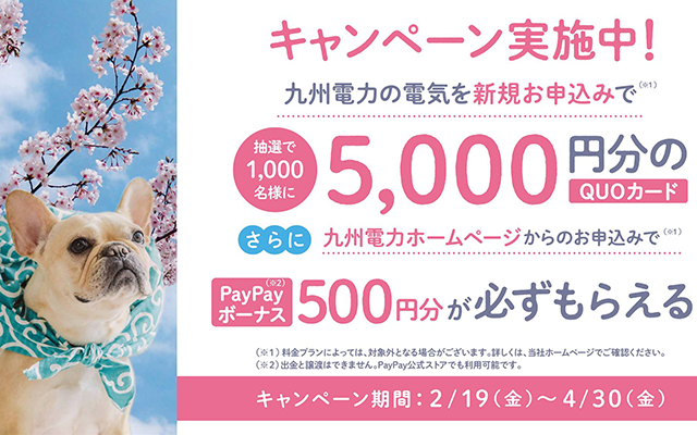 お引越しのお手続きはお済みですか？今ならキャンペーン実施中！のイメージ