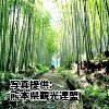 熊本県「石畳の道（草枕ハイキングコース） 」