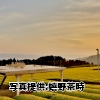 佐賀県「Tea Tourism」