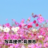 佐賀県「Tea Tourism」