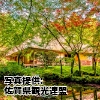 佐賀県「九年庵」