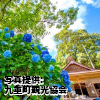 大分県　「宝八幡宮」