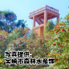 宮崎県　「椿山森林公園」