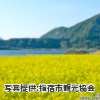  鹿児島「池田湖」