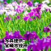 宮崎県　「阿波岐原森林公園 市民の森」