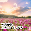 大分県　「三光コスモス園」