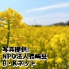 「電気記念日」 灯りのある風景