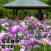 長崎県「佐々町皿山公園」