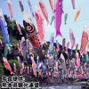 熊本県「杖立温泉鯉のぼり祭り」