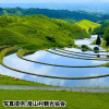 熊本県「扇棚田」
