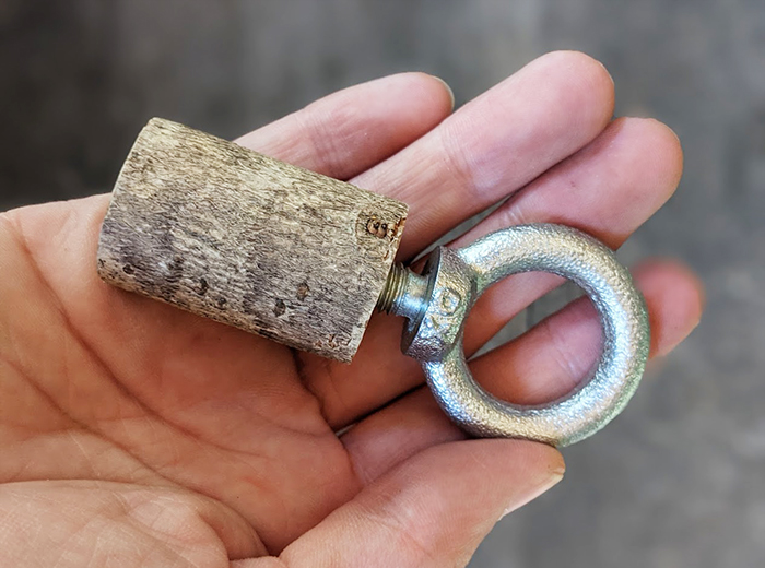 バードコールを作って小鳥と遊ぼう