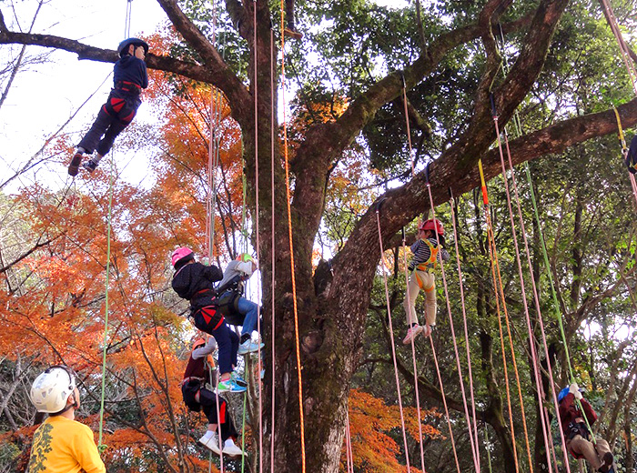 わくわく木登りツリーイング 500円