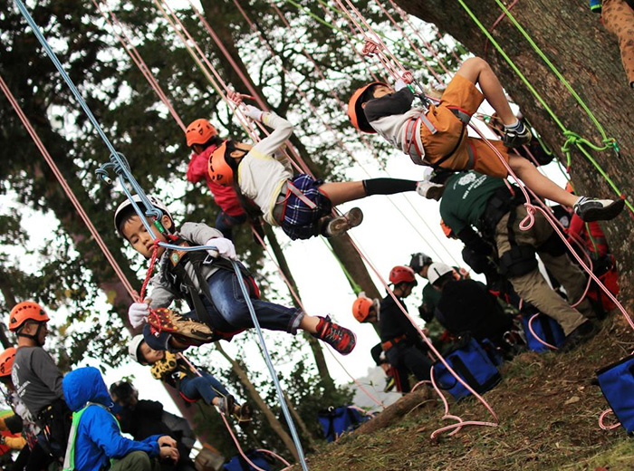 わくわく木登りツリーイング 500円