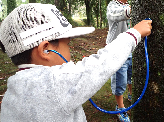 ネイチャーゲーム 0円