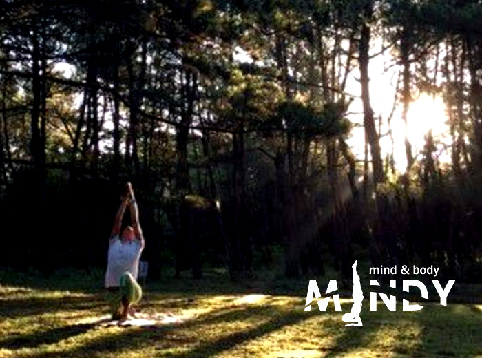 森の中で親子ヨガ 0円