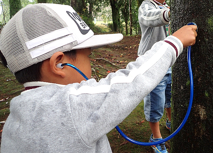 ネイチャーゲーム 無料