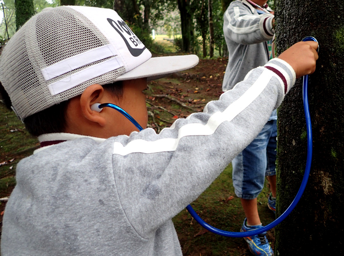 ネイチャーゲーム 無料