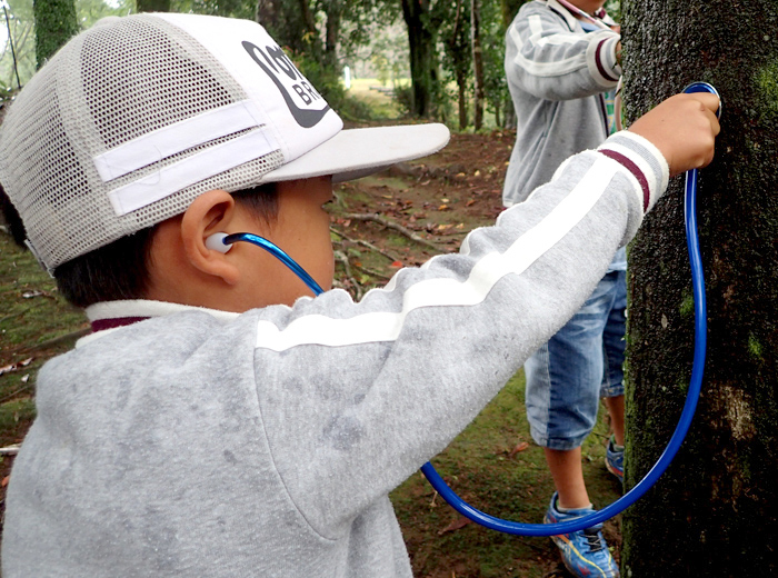 ネイチャーゲーム