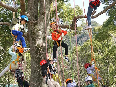 わくわく木登り ツリーイング 無料