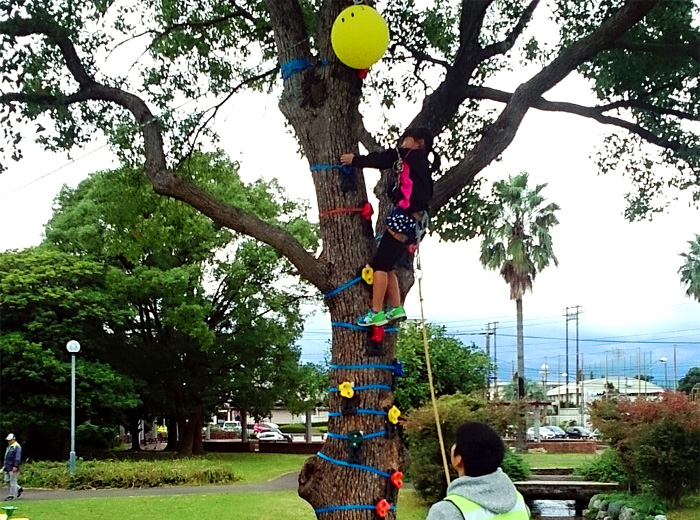 木登りチャレンジ! 0円
