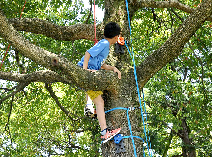 木のぼりチャレンジ 無料