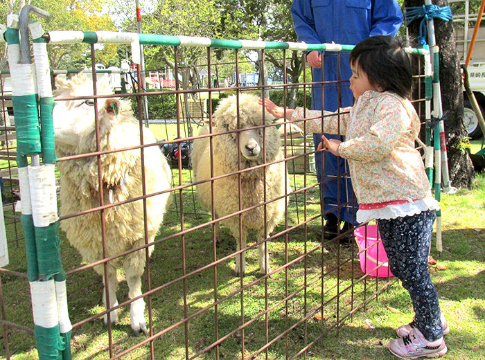 ミニ動物園 無料