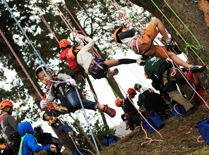 わくわく木登りツリーイング 500円