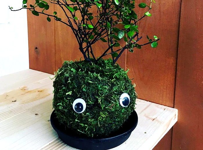 ふさふさコケ玉くん 200円