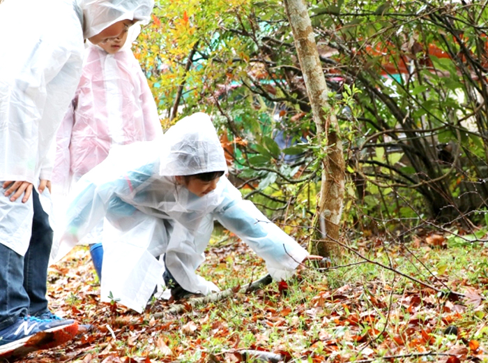 ネイチャーゲーム 0円