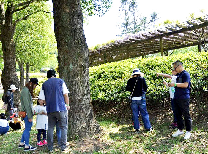 森のナゾ解き探検隊 0円