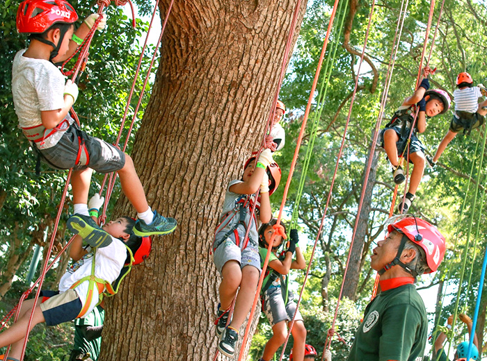 わくわく木登りツリーイング 500円