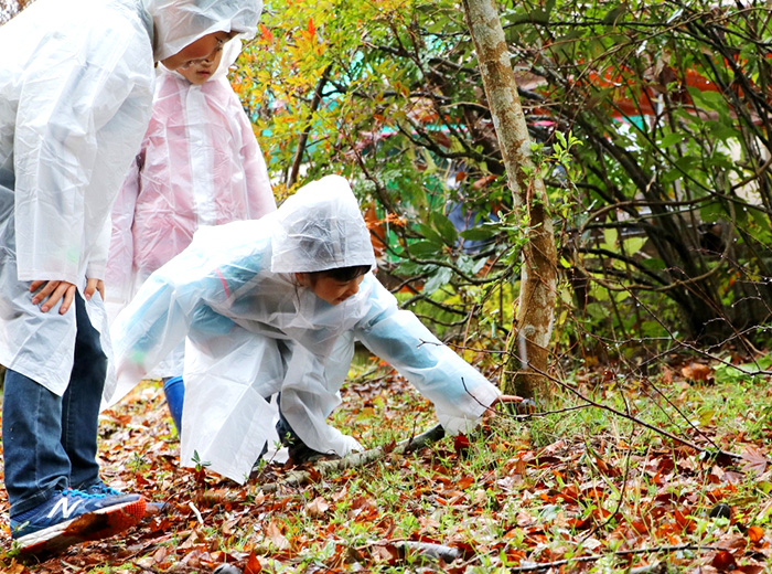 ネイチャーゲーム 0円