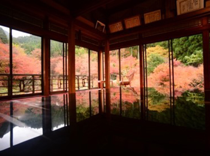 紅葉“環境芸術の森”の写真