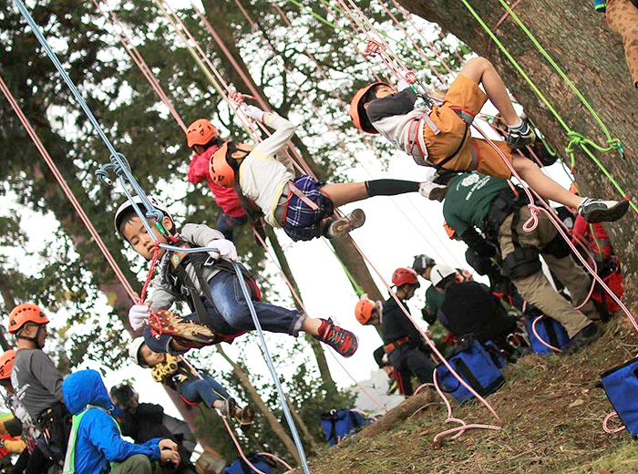 わくわく木登りツリーイング 500円