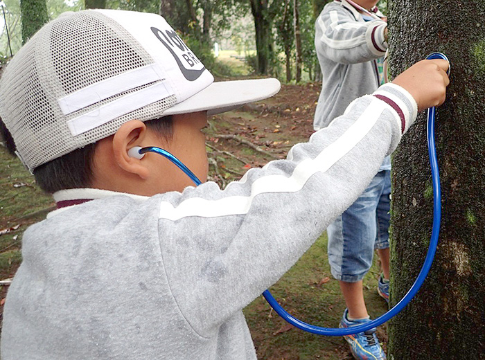 ネイチャーゲーム 0円