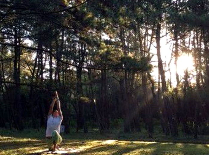 森の中で親子ヨガ 0円